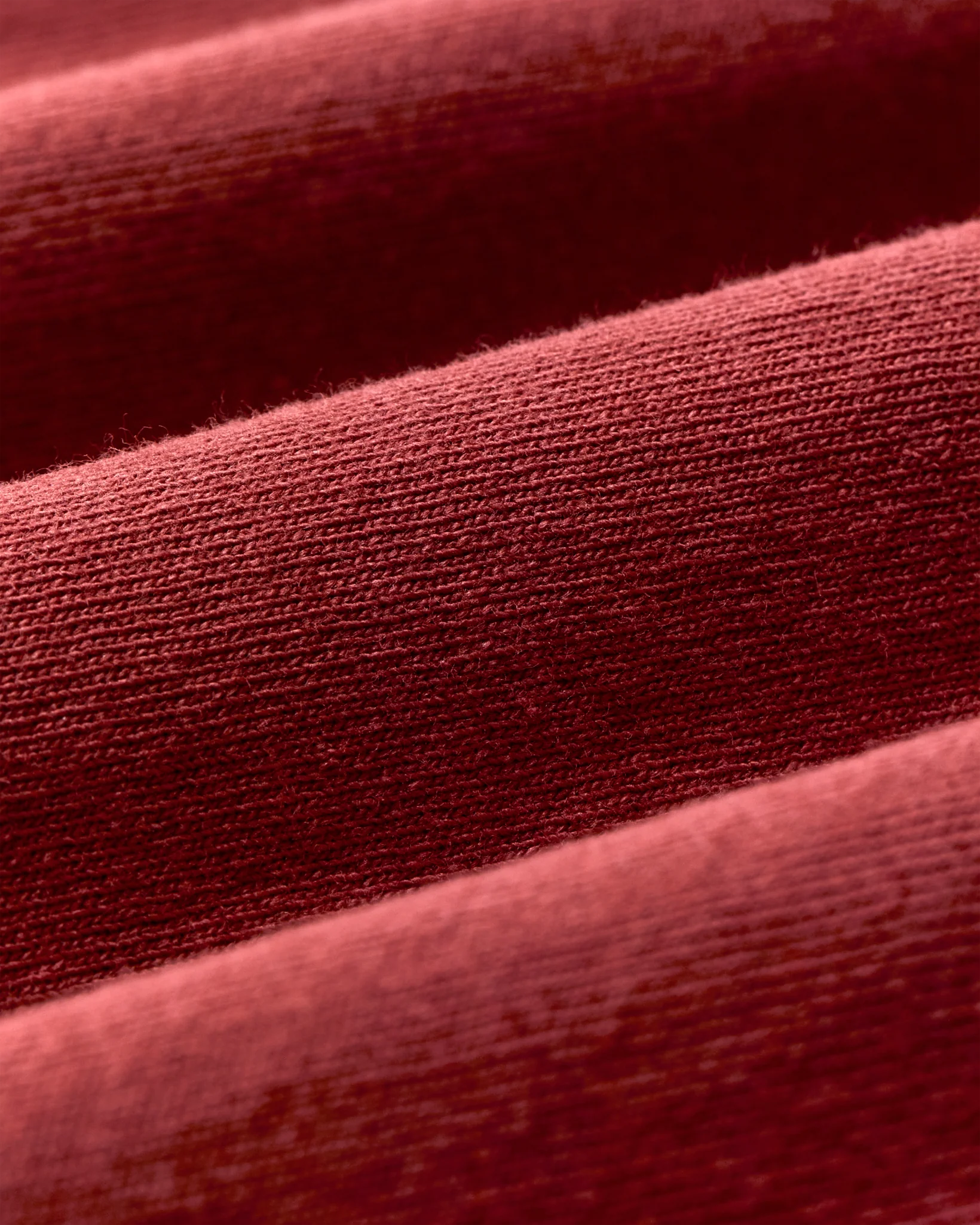 Bear Graphic T-Shirt "Chili Oil"