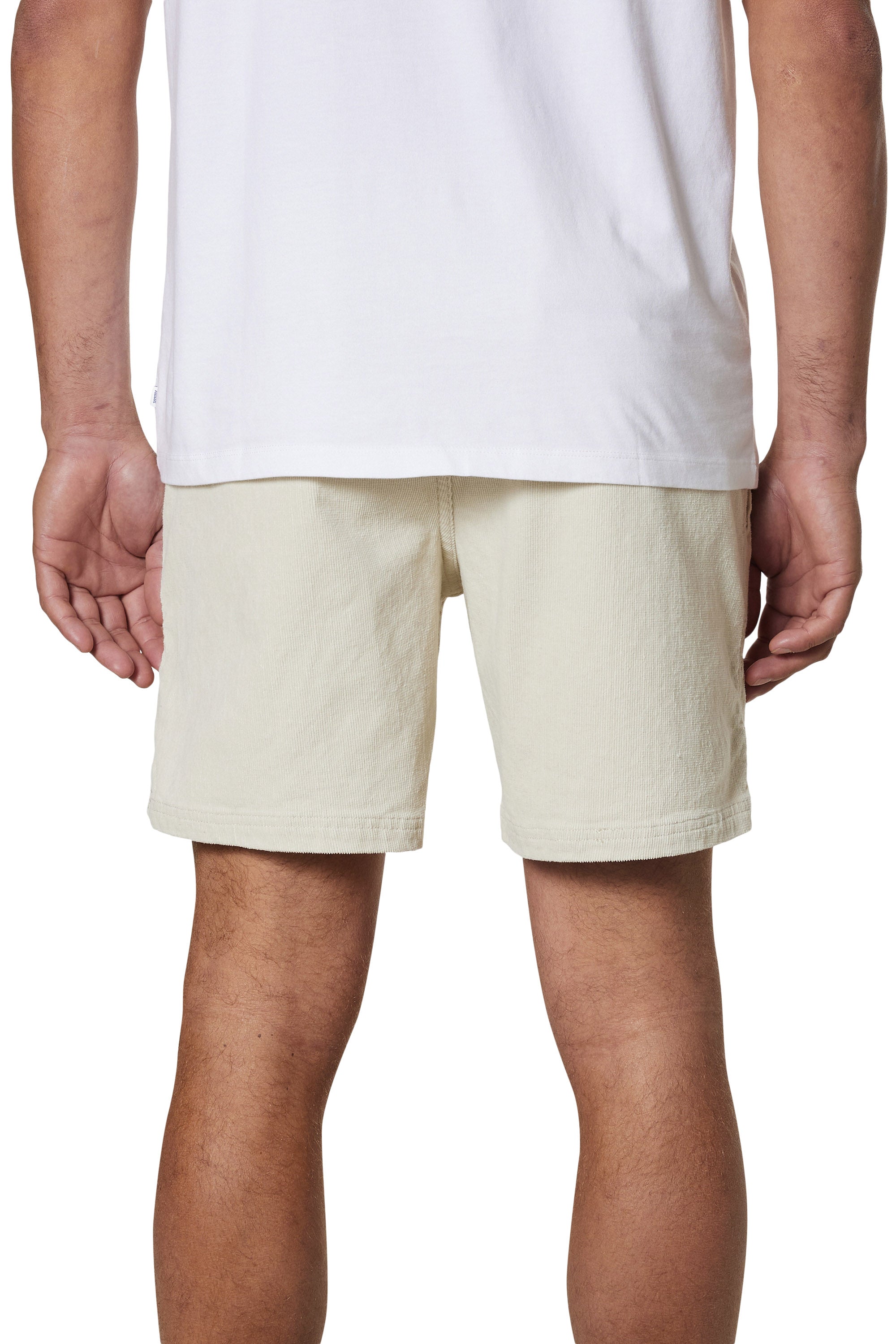 Cord Local Short "Silver Birch"