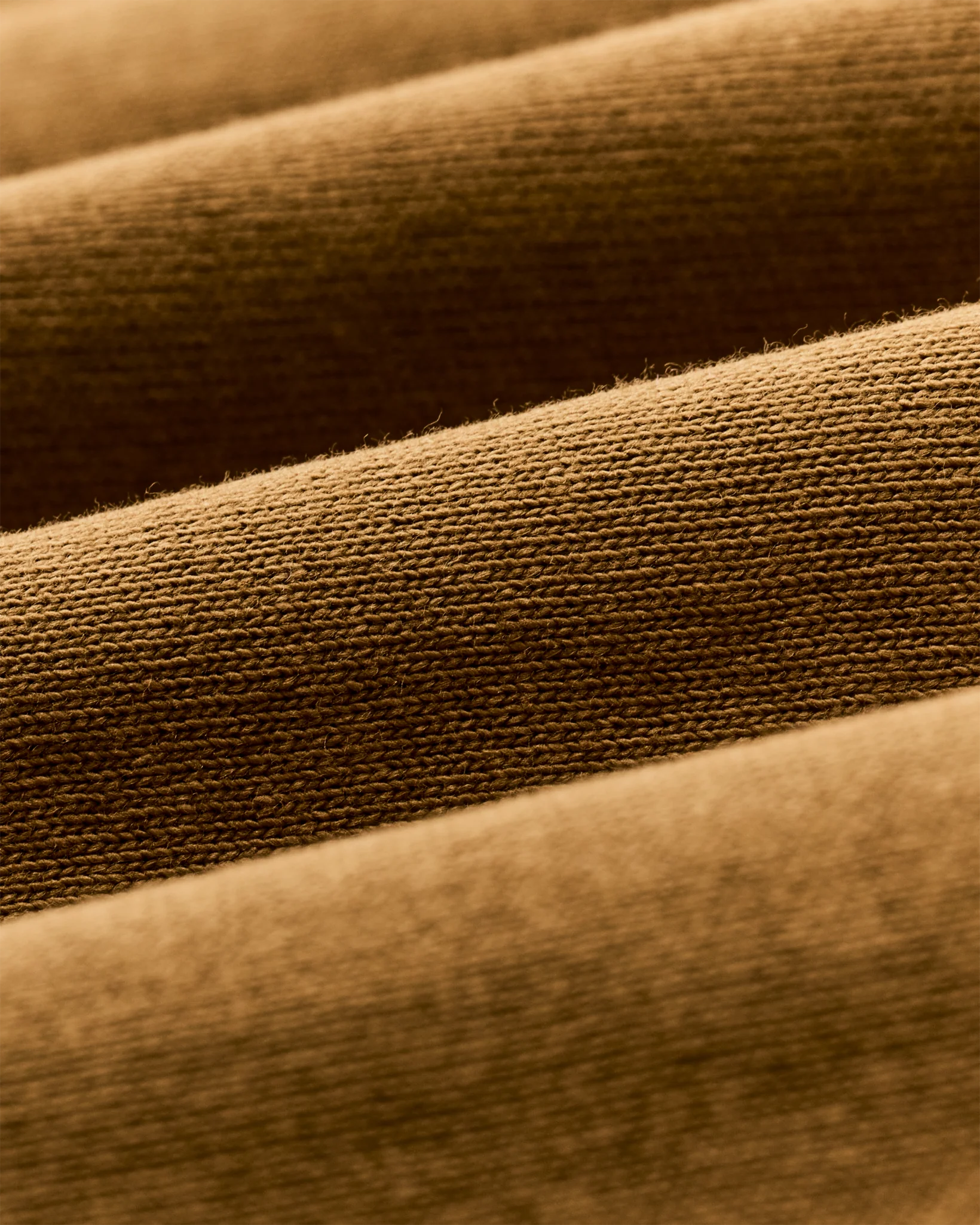 Frontier Logo T-Shirt "Golden Tan"